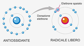 Moleca anti-ossidante