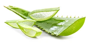 Aloe Gel 10 benefici per la tua Bellezza